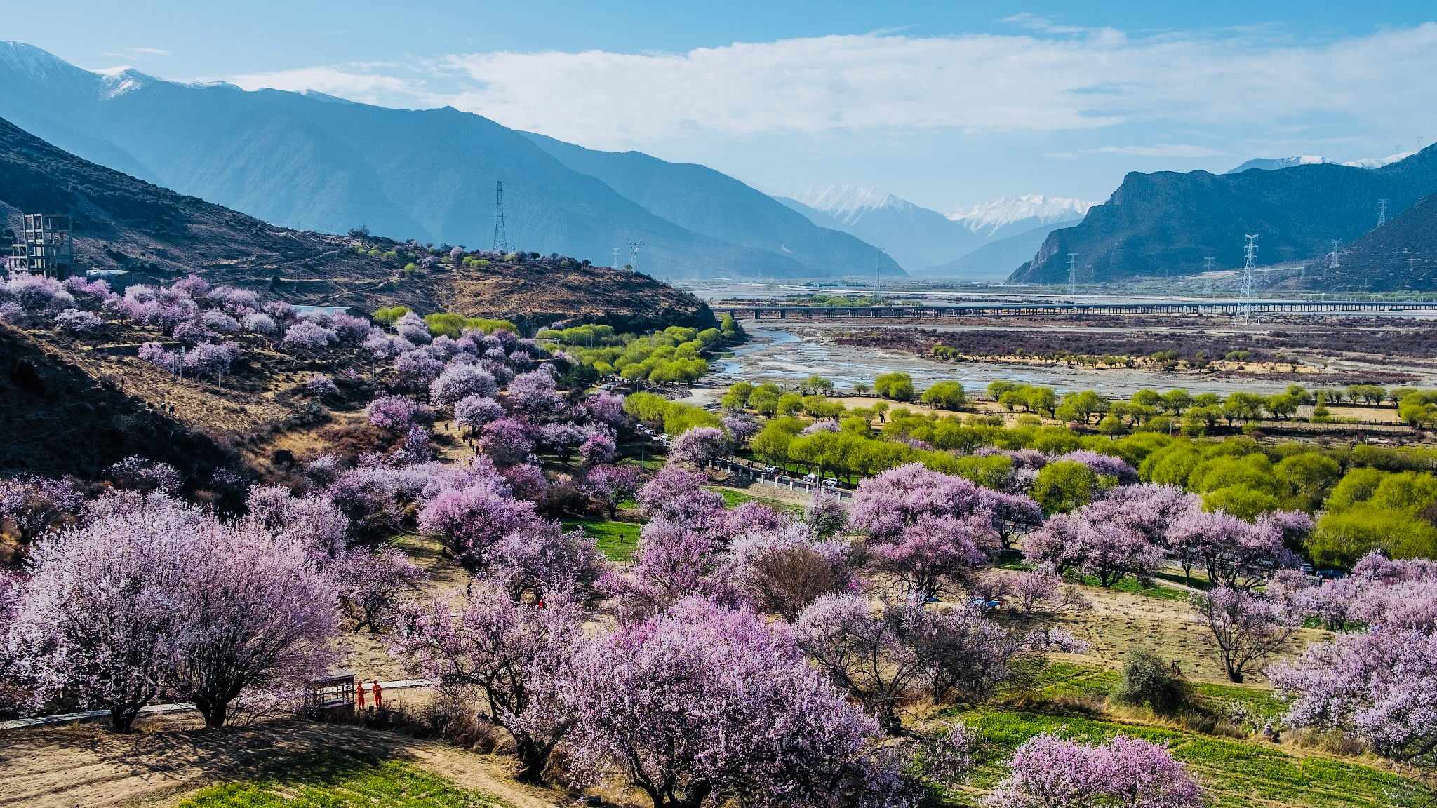 Find Peach Blossoms Spring Of A Virgin Land EYESHENZHEN find-peach-blossoms-spring-of-a-virgin-land-eyeshenzhen