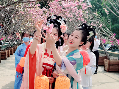 Spring Festival events not to be missed