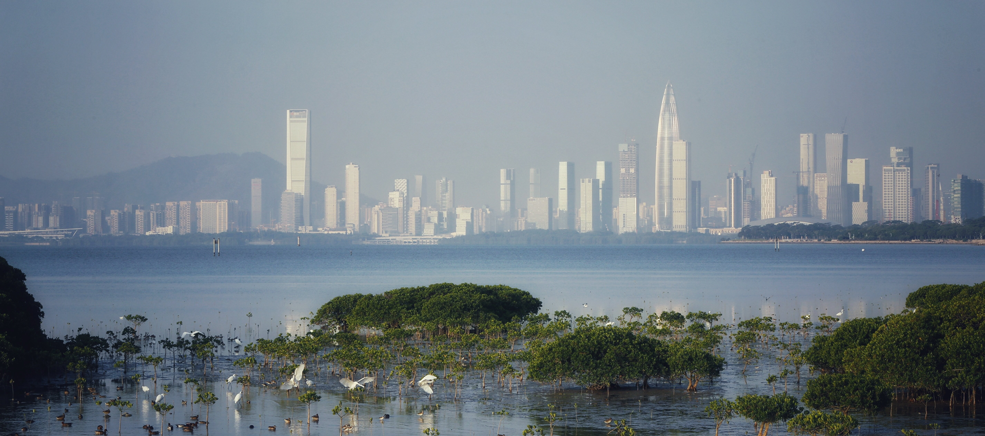 SZ adds 8 new types of environment projects to govt. funding list
