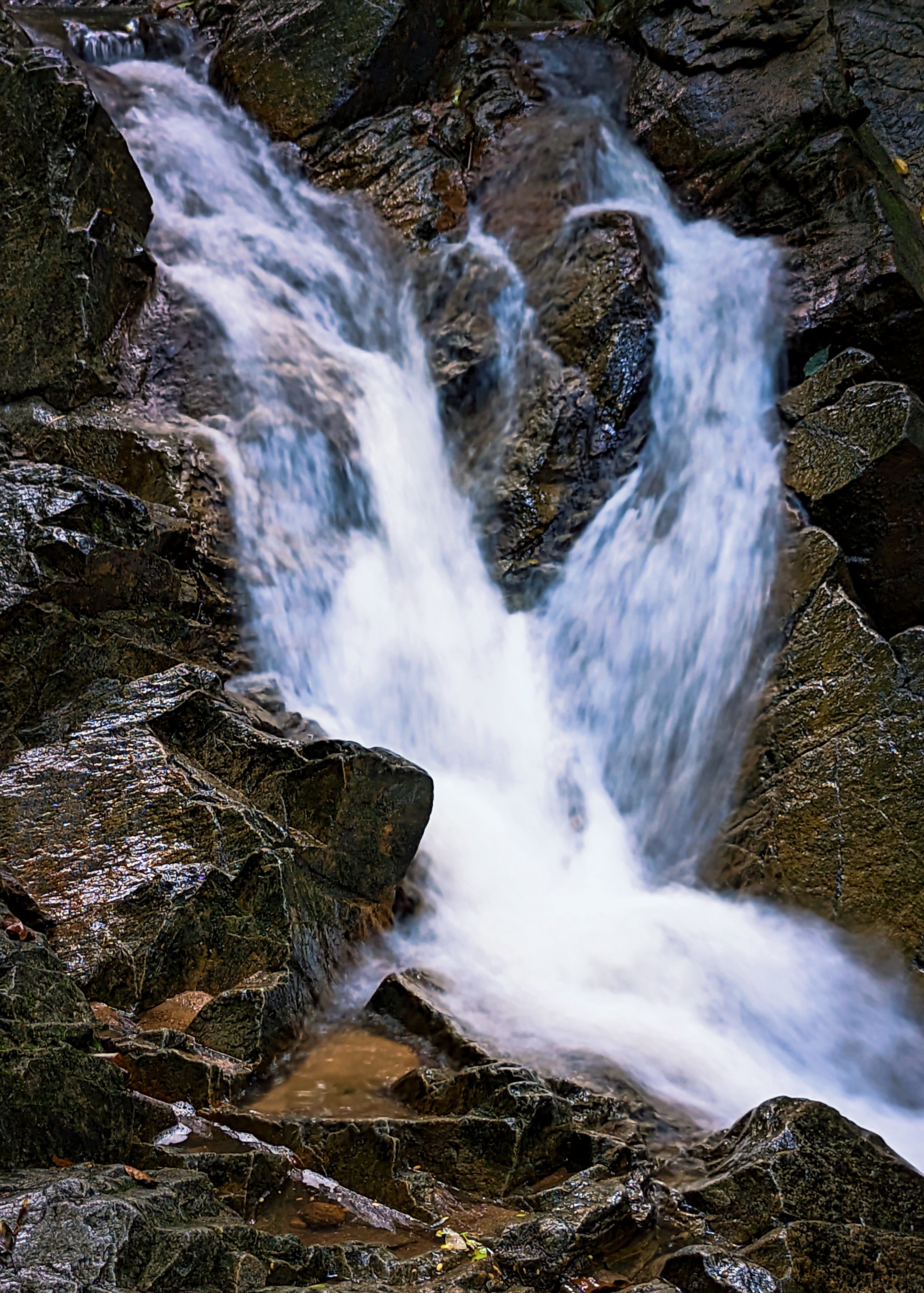 d5f11185443509ec335945ae2ff50d8.jpg