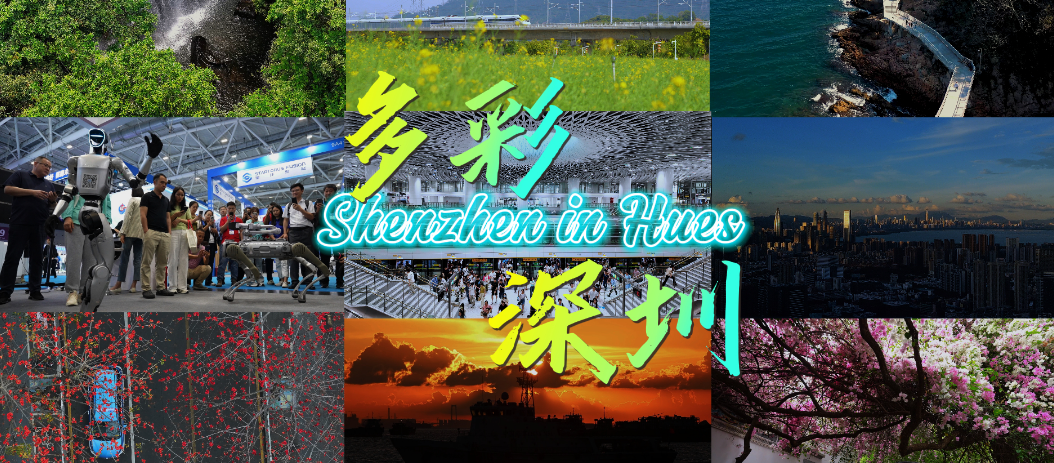 Shenzhen in Hues