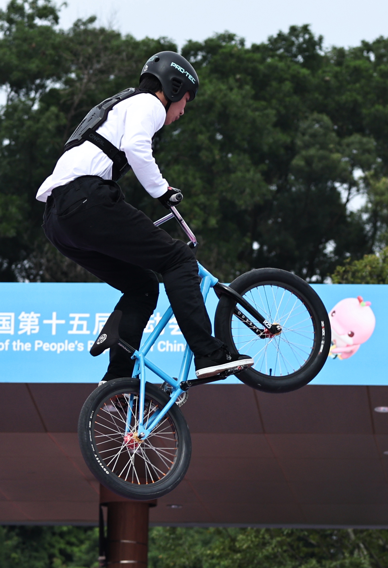 510a6bf54076b0516d9a355928194a2.jpg 510a6bf54076b0516d9a355928194a2.jpg