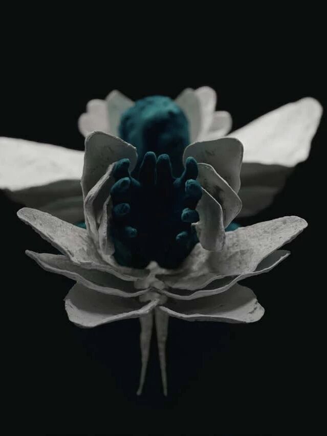 71c81b9d782eda05916434196065caee.jpg 71c81b9d782eda05916434196065caee.jpg