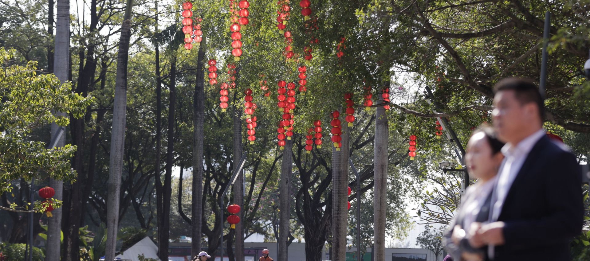 Shenzhen sparkles with Lunar New Year spirit