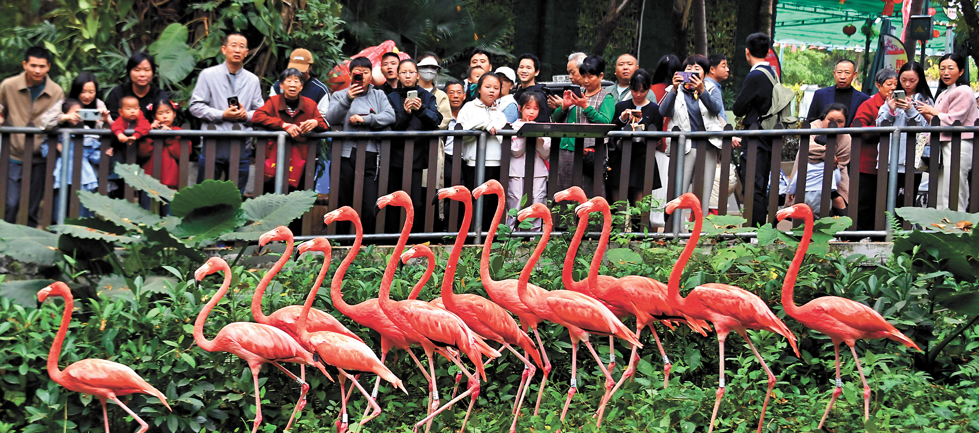 SZ among top 5 cities for intl. tourists this Spring Festival